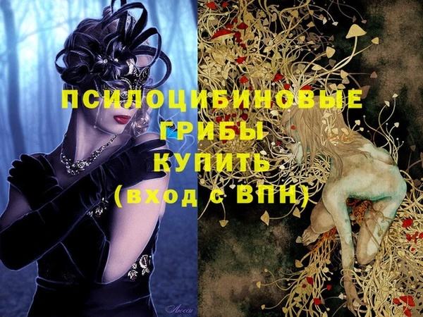 стафф Балахна