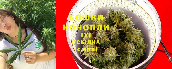 дживик Беломорск