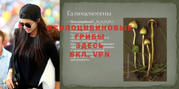 дживик Беломорск