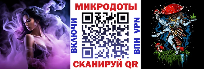 блэк спрут маркетплейс  цена наркотик  Дальнегорск  Галлюциногенные грибы Psilocybine cubensis 